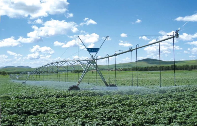 Z6·尊龙凯时(中国区)人生就是搏!