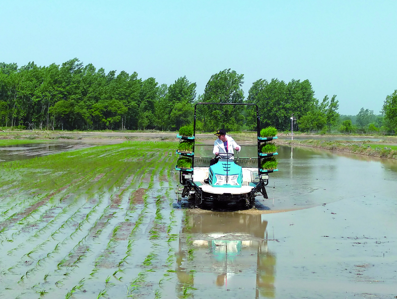 Z6·尊龙凯时(中国区)人生就是搏!