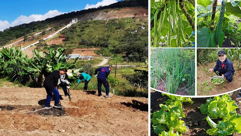 Z6·尊龙凯时(中国区)人生就是搏!